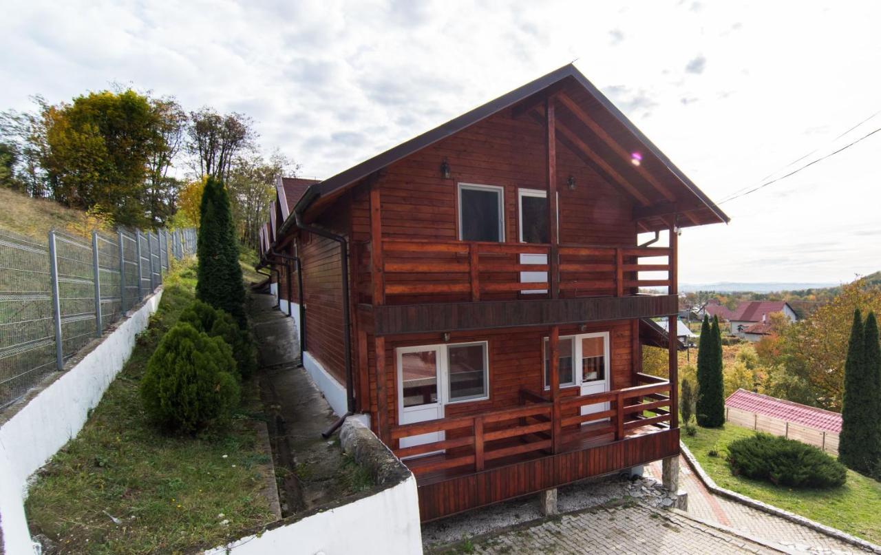 Villa Casa Domneasca à Baia de Fier Extérieur photo