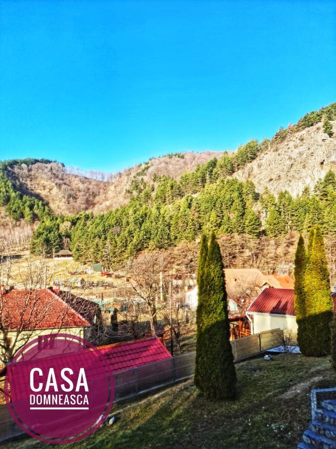 Villa Casa Domneasca à Baia de Fier Extérieur photo