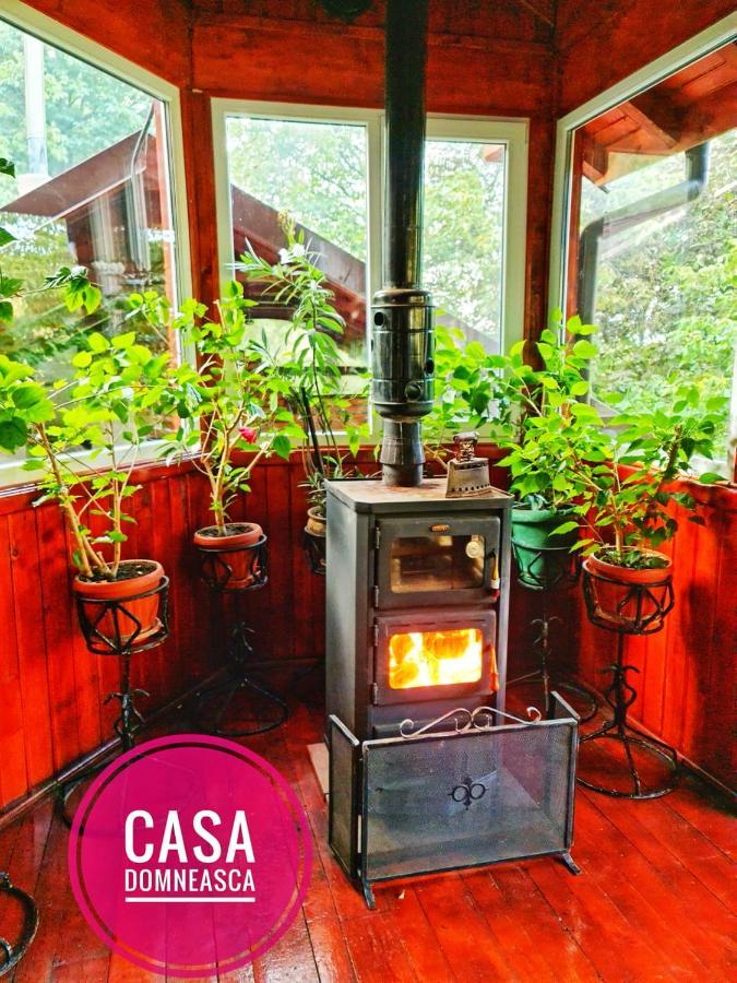Villa Casa Domneasca à Baia de Fier Extérieur photo