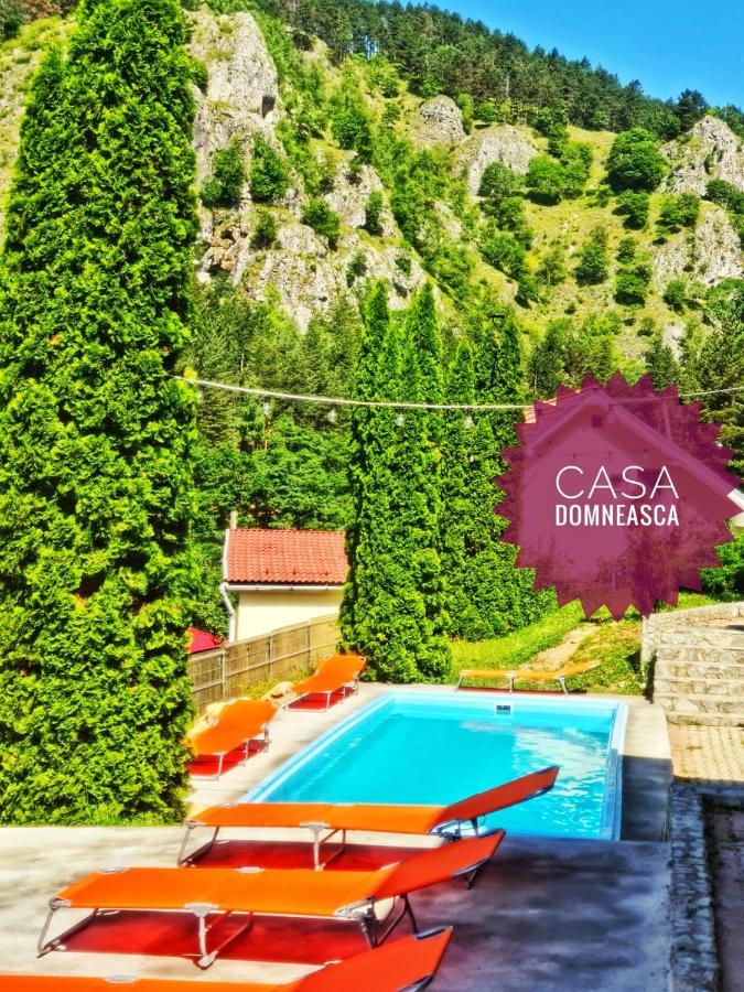 Villa Casa Domneasca à Baia de Fier Extérieur photo