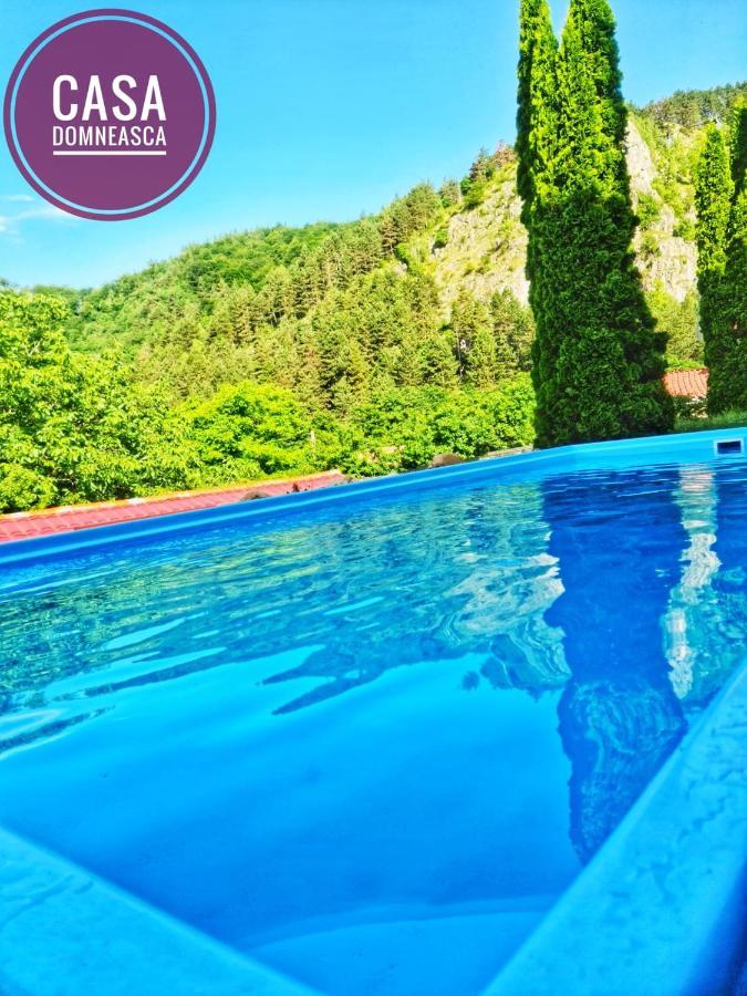 Villa Casa Domneasca à Baia de Fier Extérieur photo